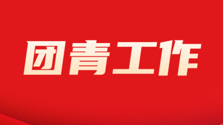 开云app登录入口团委组织开展“国家安全 青春挺膺”主题团日活动